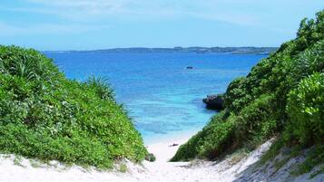 A beach with clear blue water, sandy shore, and lush greenery.