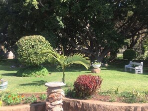 Property grounds - Lodumo Guesthouse B & B (Bulawayo South)