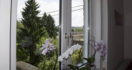 Fully renovated two-bedroom apartment in beautiful part of Ljubljana