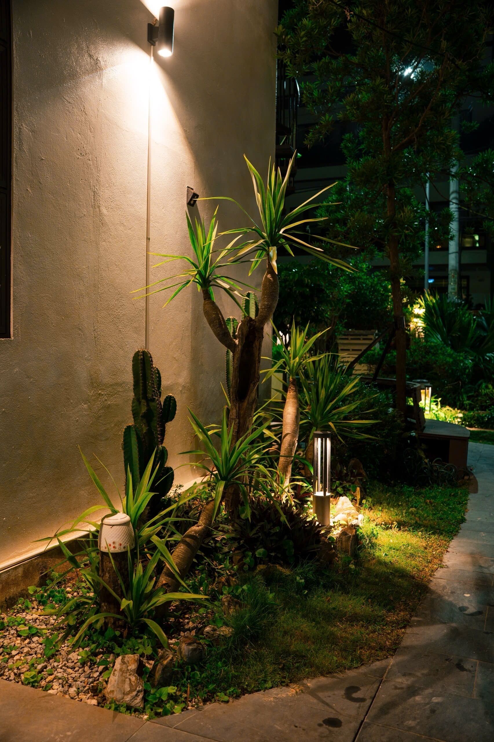 A nighttime outdoor area with a cactus garden, a pathway, and a building with a light fixture.