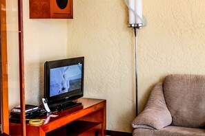 Televisión, reproductor de DVD y libros