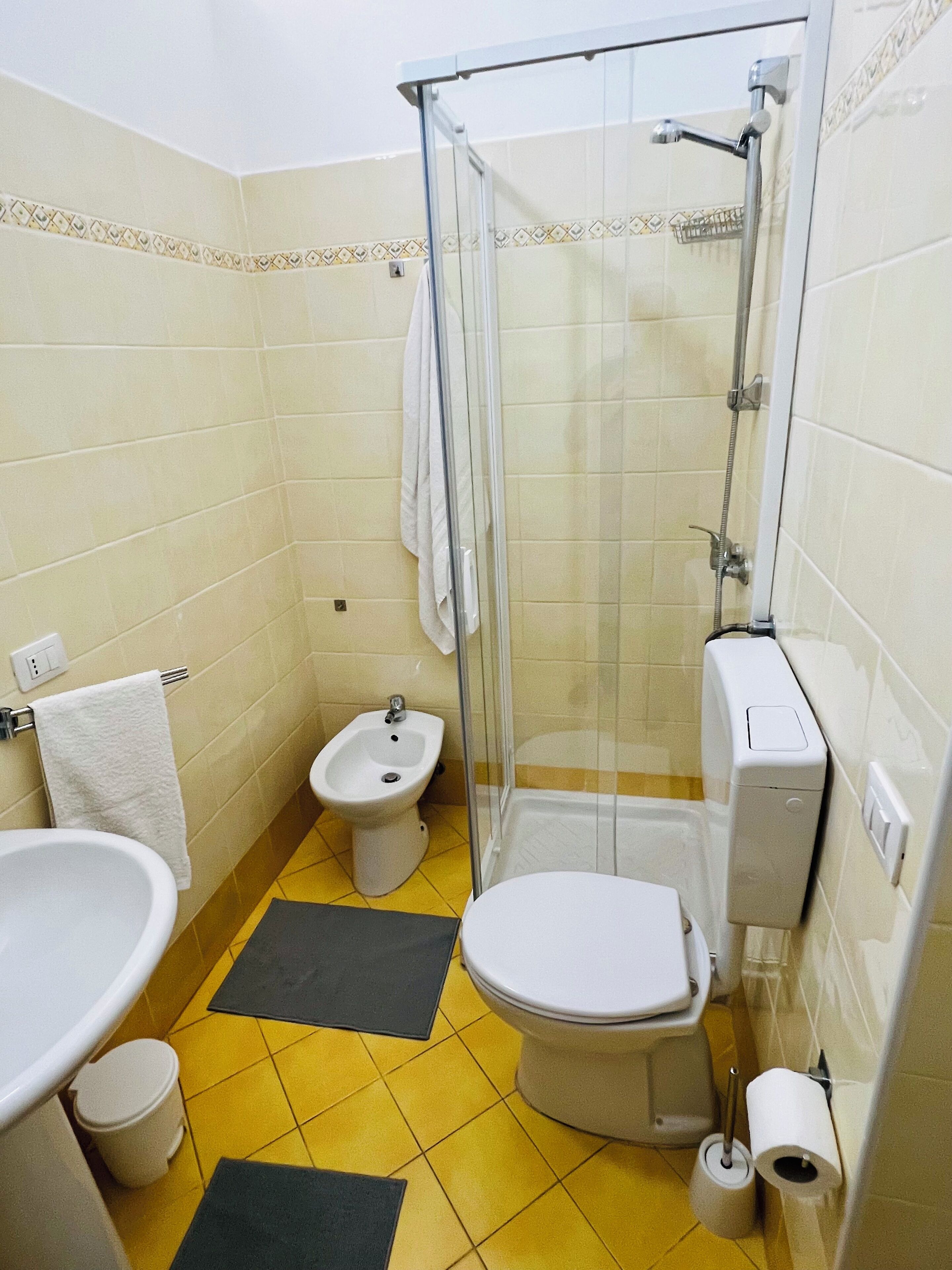 A compact bathroom with a shower, toilet, bidet, and sink.