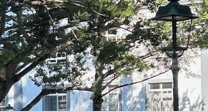 GARTENANSICHT-WOHNUNG