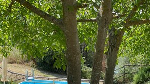 Une piscine entourée d’arbres, avec une clôture et une terrasse en bois au premier plan.