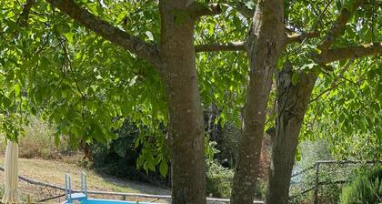 Agriturismo Marchesi Gondi - Poggio Martini