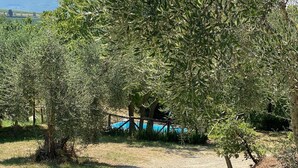 Un espace extérieur bordé d’arbres, avec une piscine et une clôture.
