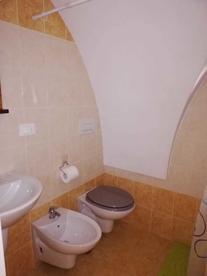 Shower, rainfall showerhead, hair dryer, bidet