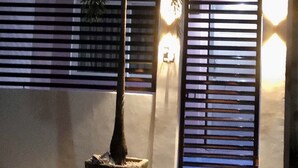 A potted palm tree in front of a building with a metal gate and a wall-mounted light fixture. - ENTIRE HOUSE/ FULLY AIR CONDITIONED/ HiSpeed Wifi. Cable TV. Smart TV (Pampanga)