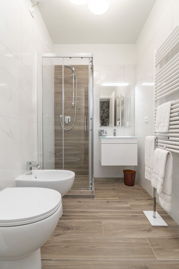 Shower, hair dryer, towels, toilet paper