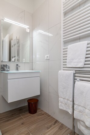 Shower, hair dryer, towels, toilet paper