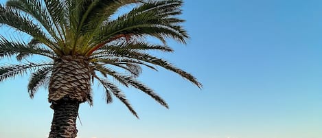 Una spiaggia nelle vicinanze