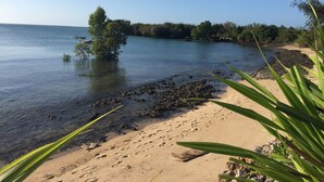 A beach with clear water, a sandy shore, and some vegetation. - VILLA CHANI - Four Bedroom Villa, Sleeps 12 (Zanzibar)