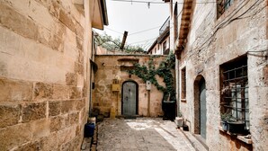 Un estrecho callejón empedrado con una puerta central, flanqueado por edificios cubiertos de hiedra y plantas en macetas.