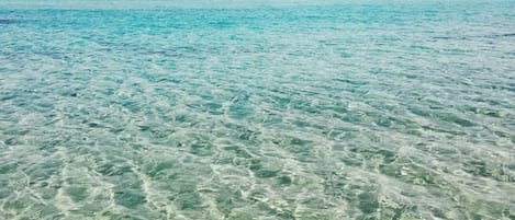 Playa en los alrededores