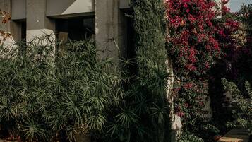 Jardín