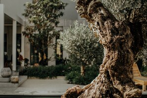 Detalle del exterior