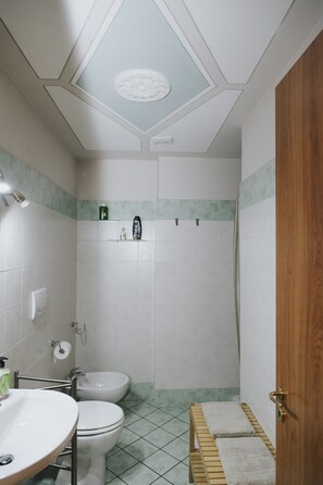 Chuveiro, secador de cabelo, bidê, toalhas de banho