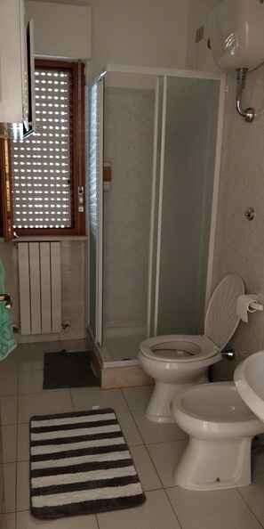 Chuveiro, secador de cabelo, bidê, toalhas de banho