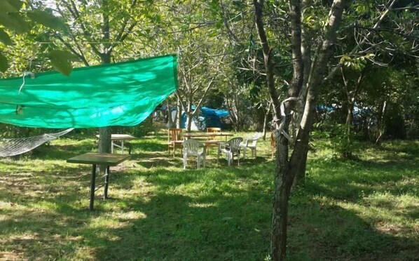 Room - Cesmi Cakraz - Glamping (Amasra)