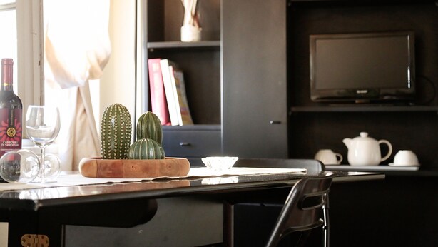 A kitchen counter with a cactus, a wine bottle, and glasses. There is a television and a cabinet in the background. - santamarta35: characteristic apartment in a great location (Pisa)