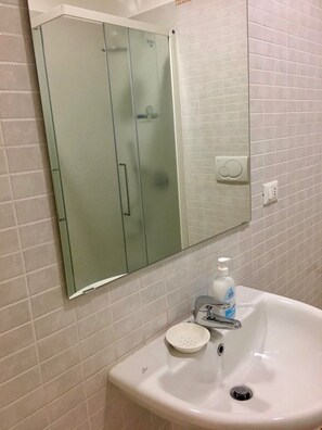 Shower, towels, toilet paper