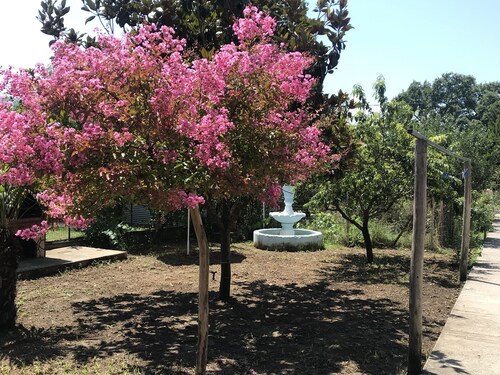 Angelos дом для отдыха