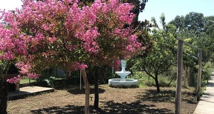 Angelos ĐŽĐŸĐŒ ĐŽĐ»Ń ĐŸŃĐŽŃŃ
а