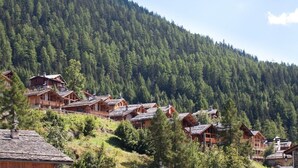 A cluster of wooden cabins with sloped roofs, surrounded by dense forest and a mountain backdrop.