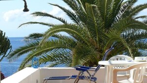 Een terras met uitzicht op zee, met een palmboom, een blauwe lounge stoel en een witte tafel.