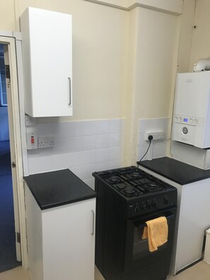 Private kitchen - Studio apartment, Spacious and bright (London)