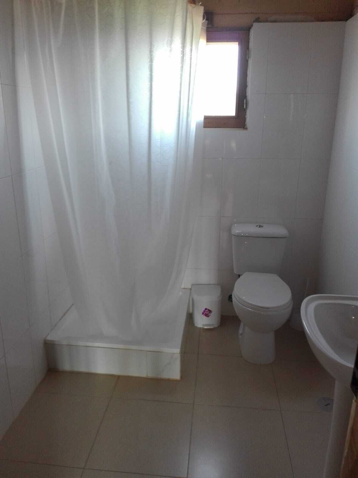 Secador de cabelo, toalhas de banho, papel higiênico 