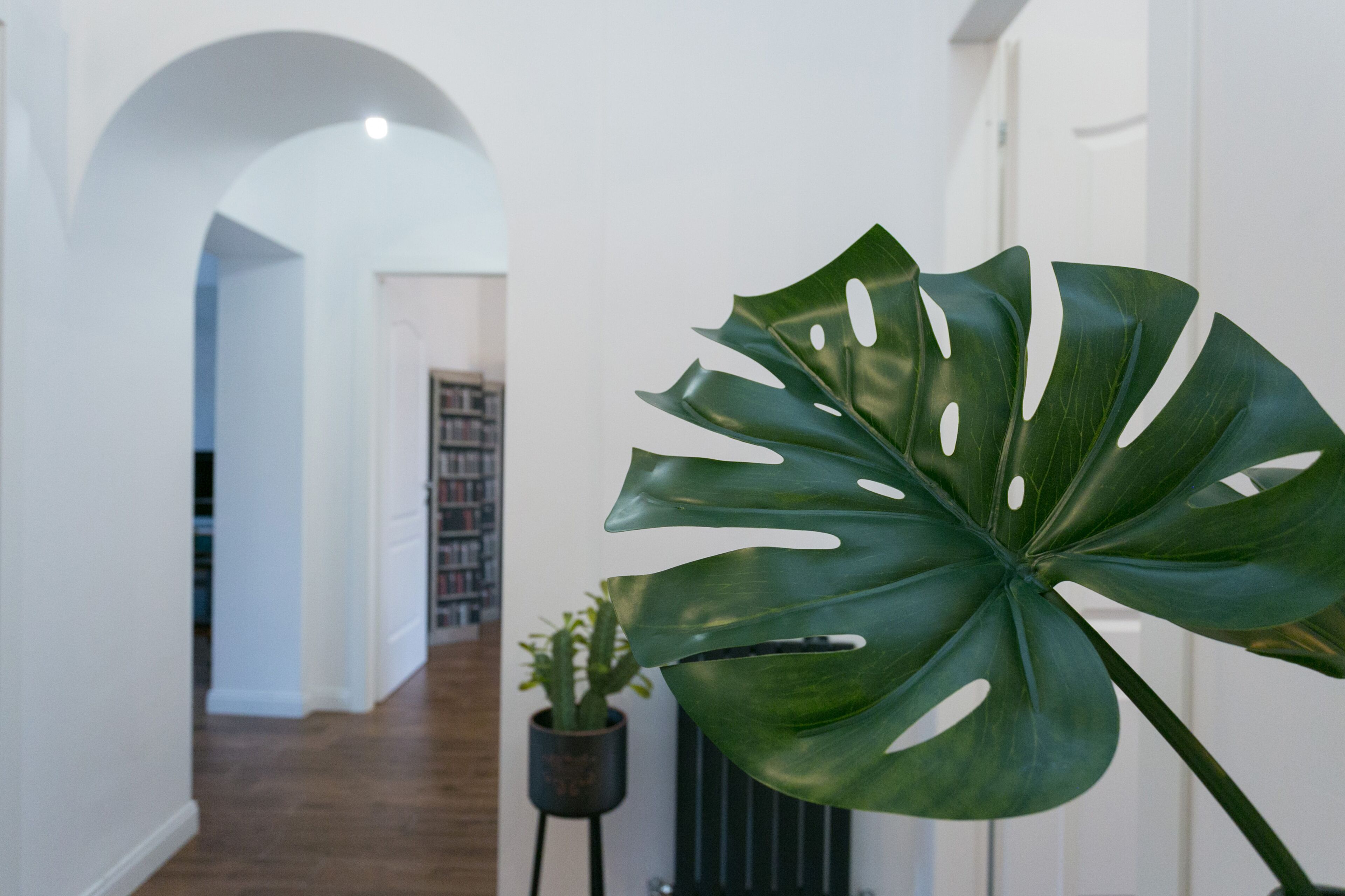 A hallway with a large green plant, a small potted plant, and a radiator.
