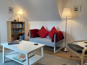 Smart TV, chimenea, reproductor de DVD y libros