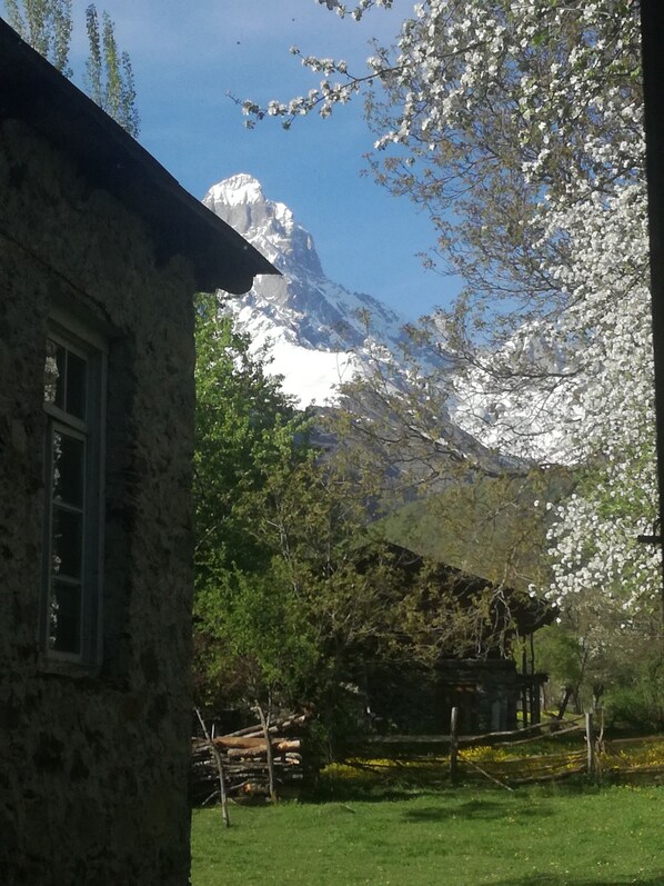 Suite Luxe | Vue sur les montagnes