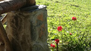 Ingang accommodatie