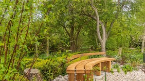 A wooden bench in a garden with trees and shrubs.