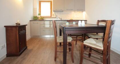 Casa Zoldan, Hibiscus