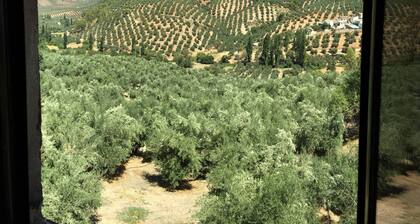 El Almendro de la Tia Teresa se encuentra en sierra de segura y las villas