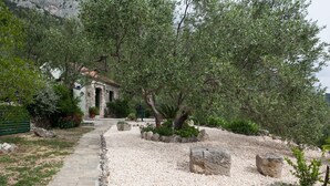 A stone pathway leading to a rustic building surrounded by olive trees and pebbles. - Holiday house Jano in Makarska, jacuzzi (Makarska)