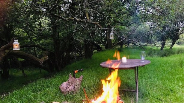 Una fogata con una mesa y un farol en un área boscosa.