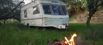 Wheels in the wilderness