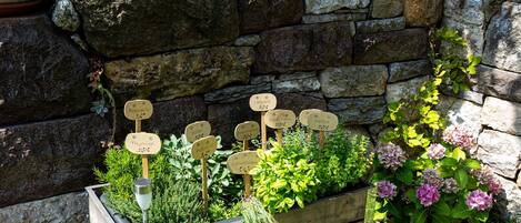 Áreas de la propiedad