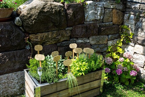 Apartment in top location