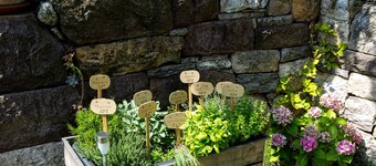 Apartment in top location