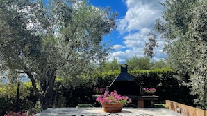 An outdoor patio with a grill, seating, and potted plants. - Situated inside olive oil farm, Altabina enjoys a panoramic position over the valley and the large h (Lamporecchio)