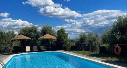 Situated inside olive oil farm, Altabina enjoys a panoramic position over the valley and the large h