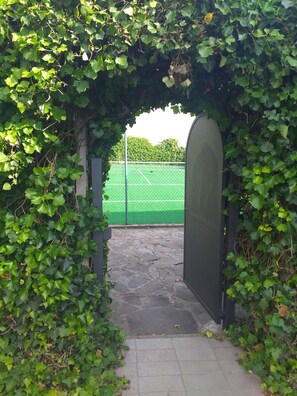 Terrain de sport