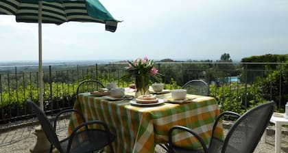 Altabina est un joli logement avec court de tennis e piscine privĂšs.