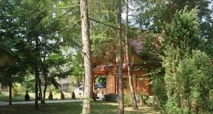 Holiday house Ruciane Nida for 1 - 10 persons with 5 bedrooms - Holiday home