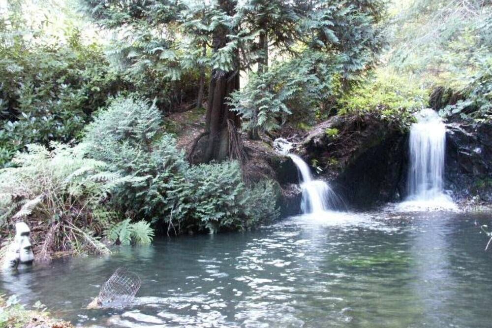 Secluded Caravan next to 2 pools & waterfalls. Decking area & Summer house